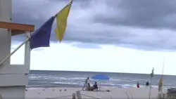 Man seriously injured after shark bite to his torso at Hollywood beach