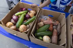 Opinion: Congress Eliminated SNAP-Ed. Here’s What it Will Mean for New Yorkers. 